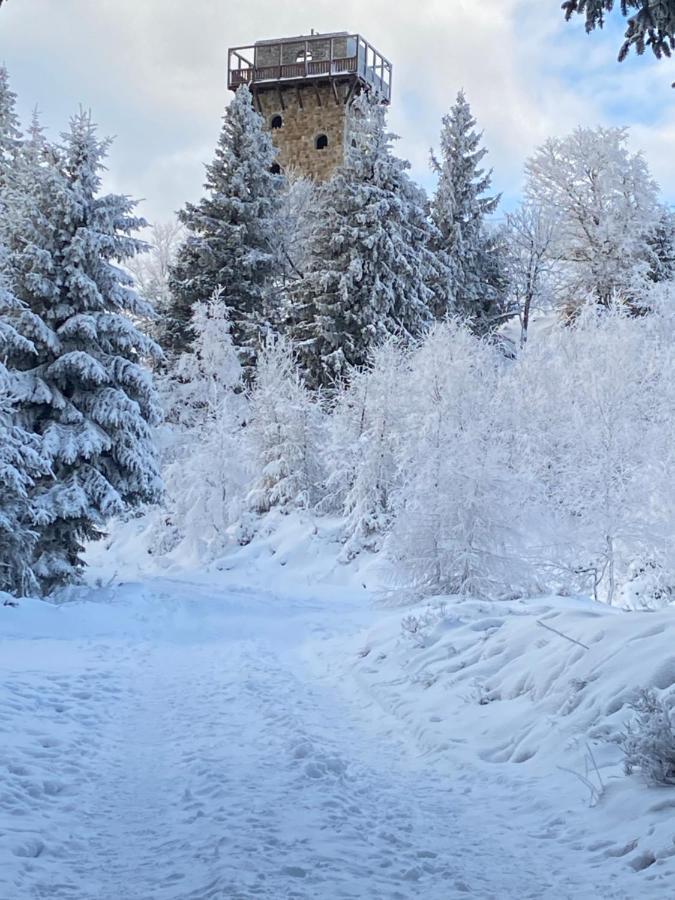 Platynowy Daire Szklarska Poreba Dış mekan fotoğraf