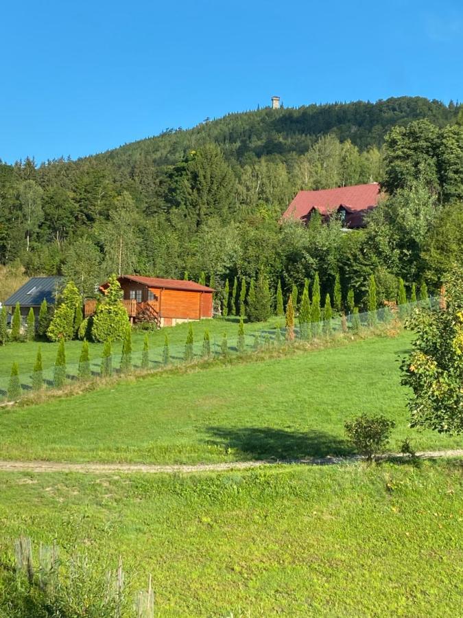 Platynowy Daire Szklarska Poreba Dış mekan fotoğraf