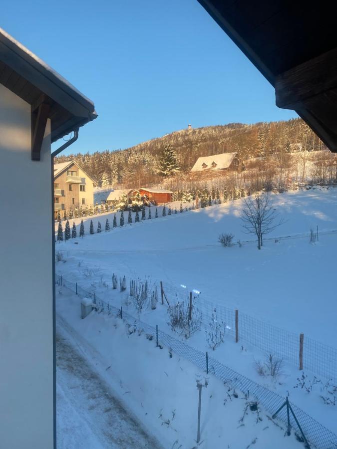 Platynowy Daire Szklarska Poreba Dış mekan fotoğraf