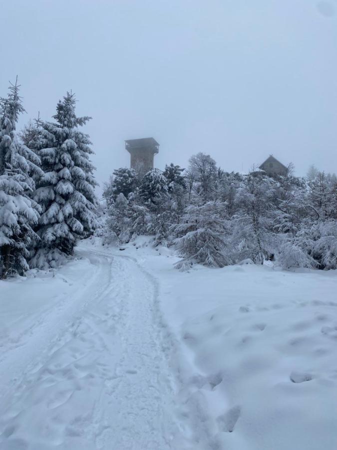 Platynowy Daire Szklarska Poreba Dış mekan fotoğraf